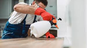 Real Estate Pest Inspections in Sheffield, AL